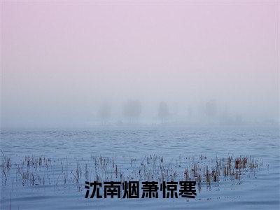 沈南烟萧惊寒全文免费阅读大结局_沈南烟萧惊寒最新章节列表_笔趣阁（沈南烟萧惊寒）