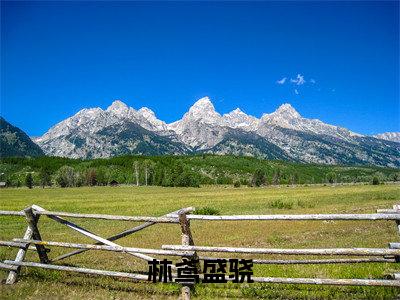 林鸢盛骁（盛骁林鸢）全文免费阅读无弹窗大结局_林鸢盛骁小说免费最新章节列表_笔趣阁