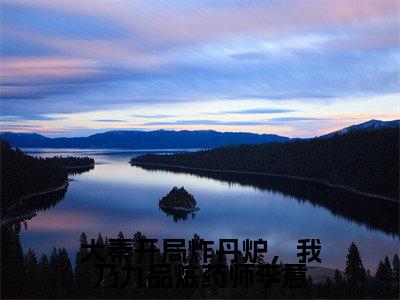 大秦开局炸丹炉，我乃九品炼药师李意（嬴政李意）正版小说最新章节在线阅读_（嬴政李意全文免费阅读无弹窗）