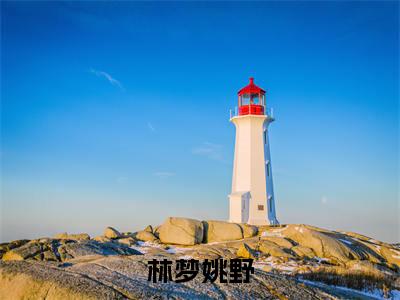 林梦姚野（林梦姚野）全文免费阅读无弹窗大结局_林梦姚野最新章节列表_笔趣阁（林梦姚野）