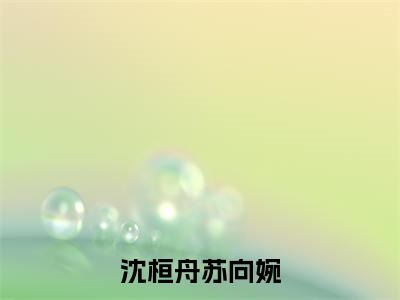 沈桓舟苏向婉（苏向婉沈桓舟）小说全文免费阅读大结局-沈桓舟苏向婉免费阅读无弹窗大结局