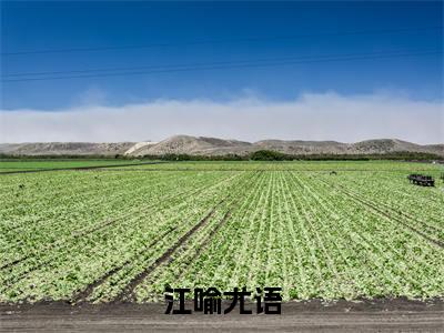 江喻尤语（尤语江喻）全文免费阅读大结局_江喻尤语全文在线完本阅读