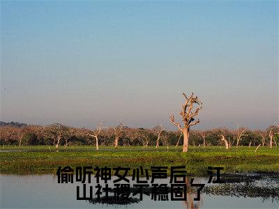 朝闻全文免费阅读无弹窗大结局_（偷听神女心声后，江山社稷不稳固了阅读无弹窗）偷听神女心声后，江山社稷不稳固了最新章节列表