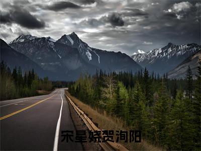 宋星娆贺洵阳美文欣赏完整版，宋星娆贺洵阳精彩章节在线阅读