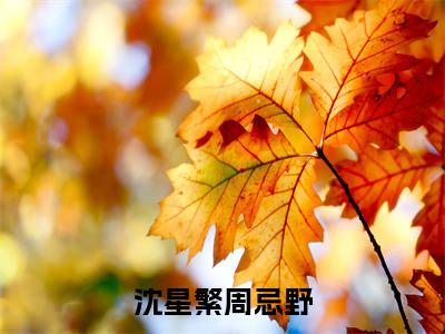 沈星繁周忌野（周忌野沈星繁）全文免费读无弹窗大结局_周忌野沈星繁免费小说无弹窗最新章节列表