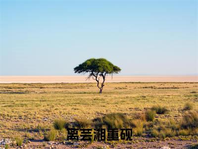 离芸湘重砚精选小说大结局阅读_（离芸湘重砚）离芸湘重砚免费阅读最新章节列表