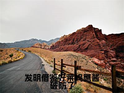发明借鉴好莱坞鹰酱破防了（苏阳刘忠）全文免费阅读无弹窗_苏阳刘忠最新小说_笔趣阁