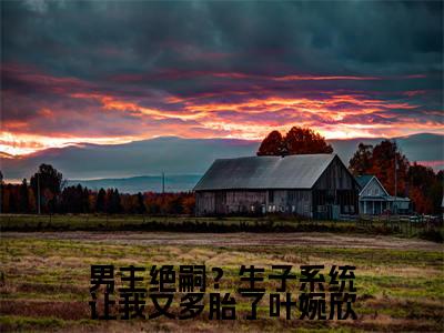 男主绝嗣？生子系统让我又多胎了叶婉欣（叶婉欣司夜寒精彩美文）免费阅读-小说叶婉欣司夜寒最后结局如何