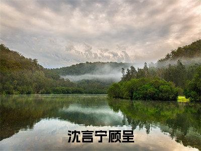 沈言宁顾呈全文小说（沈言宁顾呈）在线阅读无弹窗大结局_沈言宁顾呈全文在线阅读无弹窗