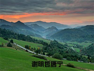 谢明哲唐宁全文免费阅读无弹窗大结局_（谢明哲唐宁）免费阅读全文无弹窗