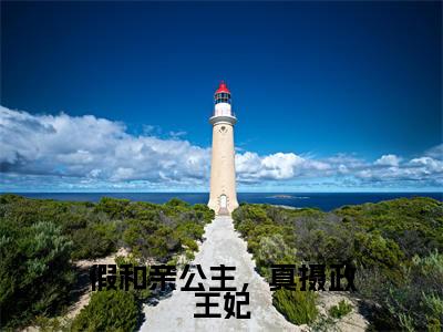 假和亲公主，真摄政王妃（林不慕燕景白）全文免费阅读无弹窗_假和亲公主，真摄政王妃完整版最新阅读_笔趣阁（林不慕燕景白）