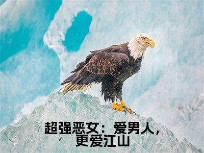 苏婧瑶君泽辰全文免费阅读-全网首发小说超强恶女：爱男人，更爱江山