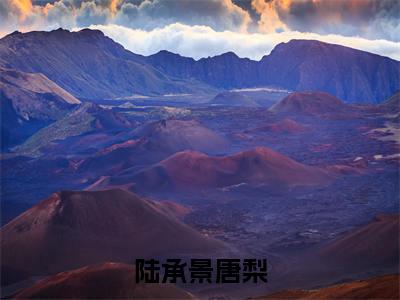 唐梨陆承景（陆承景唐梨）全文免费阅读_唐梨陆承景小说最新章节列表笔趣阁