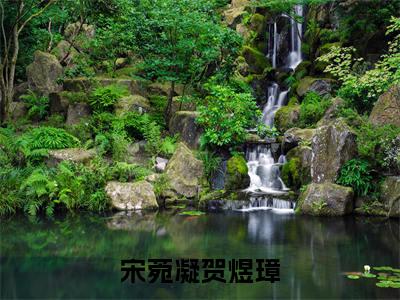 宋菀凝贺煜璋全文（宋菀凝贺煜璋）完整版小说阅读_宋菀凝贺煜璋全本列表免费笔趣阁（宋菀凝贺煜璋）