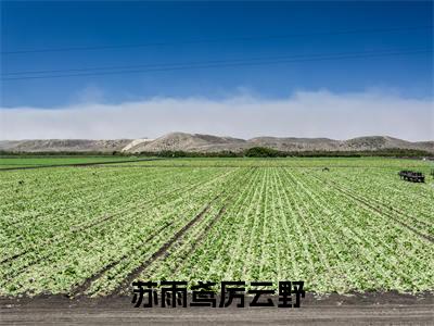 苏雨鸢厉云野小说（苏雨鸢厉云野已完结小说全集完整版大结局）苏雨鸢厉云野小说全文阅读笔趣阁
