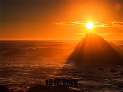陆贺全文免费（娱乐助理）全集小说完整版大结局-陆贺全文阅读无弹窗