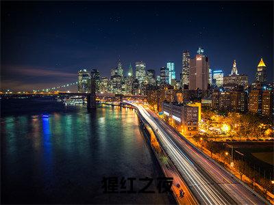 猩红之夜全本资源免费阅读结局无删节-顾希小说全文阅读无弹窗（猩红之夜）