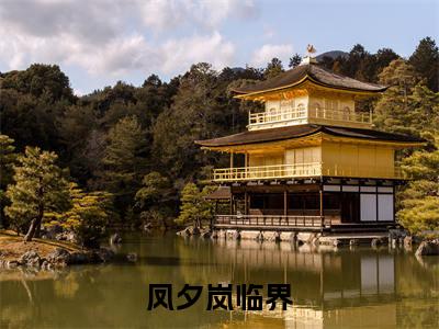 凤夕岚临界免费小说（岚临界凤夕）全文免费阅读无弹窗大结局_岚临界凤夕最新章节列表_笔趣阁