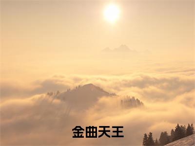 李飞小说免费阅读-金曲天王完整版全文大结局
