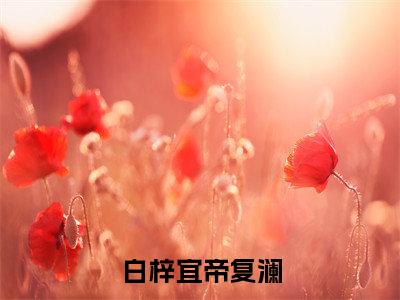 【新书】《白梓宜帝复澜》全文免费阅读无弹窗大结局-帝复澜白梓宜全章节免费阅读