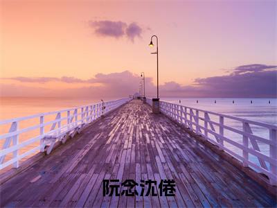 小说阮念沈倦全文阅读无弹窗大结局_（阮念沈倦）阮念沈倦最新章节列表_笔趣阁