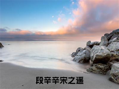 段辛辛宋之遥（段辛辛宋之遥）全文免费阅读_（段辛辛宋之遥）免费阅读无弹窗最新章节列表