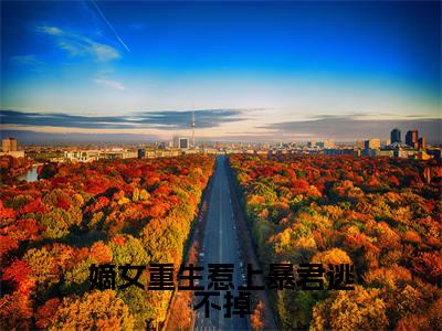 嫡女重生惹上暴君逃不掉小说好看吗嫡女重生惹上暴君逃不掉热门推荐小说（陆九卿墨箫）全章节阅读_笔趣阁