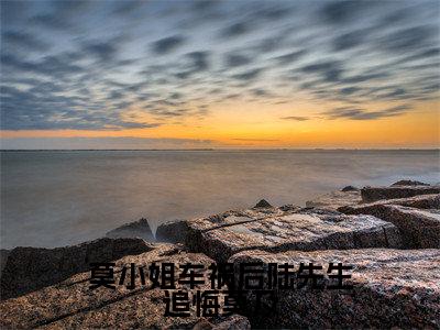 莫小姐车祸后陆先生追悔莫及（莫谨瑜陆景全文阅读）莫谨瑜陆景新书热荐免费小说