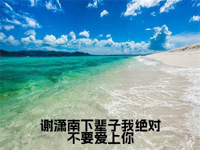 谢潇南下辈子我绝对不要爱上你（赵时予谢潇南）新上热文小说讲的是什么-小说谢潇南下辈子我绝对不要爱上你（赵时予谢潇南）全文免费阅读