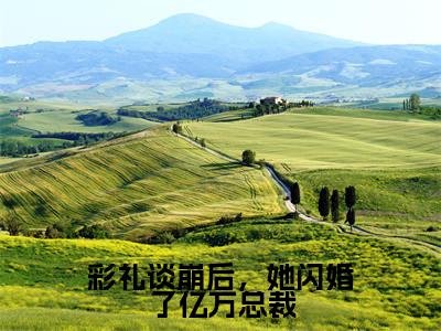 彩礼谈崩后，她闪婚了亿万总裁（秦川南荞）热推现言小说-彩礼谈崩后，她闪婚了亿万总裁小说在哪里可以看全文
