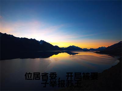 位居省委，开局被妻子举报苏玉（苏玉黎锦小说）全文免费阅读无弹窗大结局_（苏玉黎锦小说）位居省委，开局被妻子举报苏玉最新章节列表