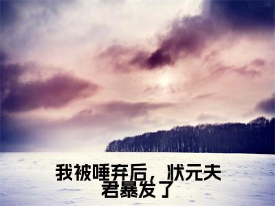 我被唾弃后，状元夫君暴发了（苏鱼）全文免费阅读无弹窗大结局_（我被唾弃后，状元夫君暴发了）苏鱼全文免费完结版阅读