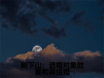 《张枫》全文免费阅读无弹窗大结局-刚下山：退婚对象就要和我结婚无弹窗阅读