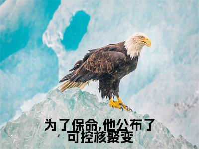 为了保命,他公布了可控核聚变小说（叶城高卫明）全文免费阅读_（叶城高卫明）为了保命,他公布了可控核聚变小说最新章节列表