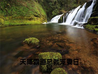 小说（天降霸道总裁宠妻日常）_林心晴唐亦尘全文阅读_小说天降霸道总裁宠妻日常免费阅读（林心晴唐亦尘）笔趣阁