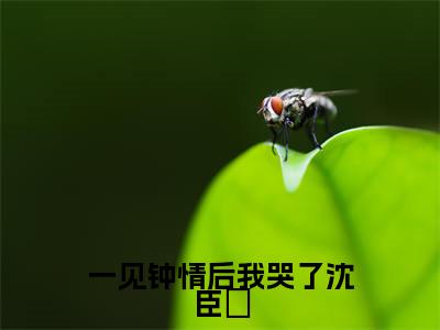 一见钟情后我哭了沈臣玦全文免费阅读无弹窗大结局_（一见钟情后我哭了沈臣玦）沈臣玦最新章节列表_笔趣阁