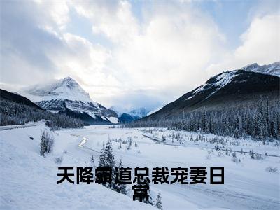 天降霸道总裁宠妻日常全文免费阅读大结局_天降霸道总裁宠妻日常最新章节列表_笔趣阁（林心晴唐亦尘）
