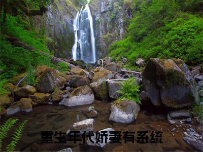 林楠林江（重生年代娇妻有系统）全文免费阅读无弹窗大结局_（林楠林江）重生年代娇妻有系统最新章节列表