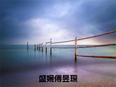 盛婉傅昱琛（大结局小说全集完整版）盛婉傅昱琛小说_盛婉傅昱琛全文阅读笔趣阁