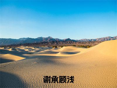 谢承顾浅全文免费阅读大结局_谢承顾浅（顾浅谢承）完整版在线赏析