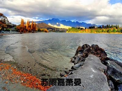 苏雨嘉萧晏的小说全文免费阅读无弹窗，苏雨嘉萧晏的小说在线免费阅读大结局（苏雨嘉萧晏）