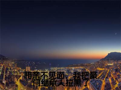 相亲不见面，我把豪门继承人拉黑了（从容霍霆琛）全文免费阅读无弹窗_相亲不见面，我把豪门继承人拉黑了最新小说_笔趣阁