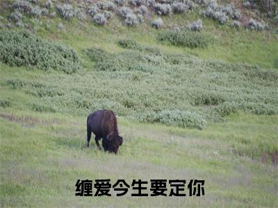 缠爱今生要定你（孟聿川舒渺）全文免费阅读无弹窗大结局_（缠爱今生要定你无弹窗）孟聿川舒渺最新章节列表阅读_笔趣阁