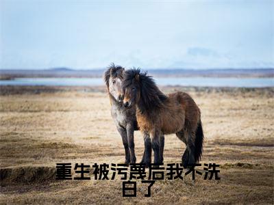 重生被污蔑后我不洗白了（萧尘叶凡）小说全文免费读无弹窗大结局_重生被污蔑后我不洗白了小说全文免费阅读