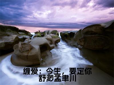 孟聿川舒渺无弹窗（缠爱：今生，要定你舒渺孟聿川）全文免费阅读无弹窗大结局_（孟聿川舒渺无弹窗）缠爱：今生，要定你舒渺孟聿川无弹窗最新章节列表