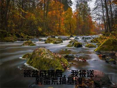 （夏柠免费+后续）瓷盆成精后，我被送到蛮荒搞基建（夏柠）最新章节阅读-热点小说榜单推荐瓷盆成精后，我被送到蛮荒搞基建
