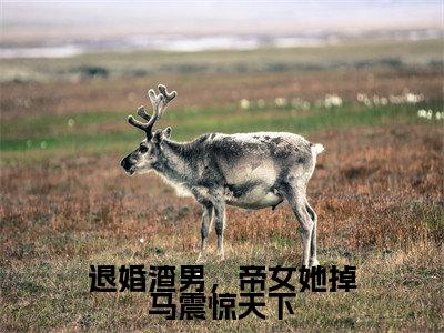 退婚渣男，帝女她掉马震惊天下小说全文免费阅读无弹窗大结局_（圣无极凤颜鸢免费阅读无弹窗）最新章节列表_笔趣阁