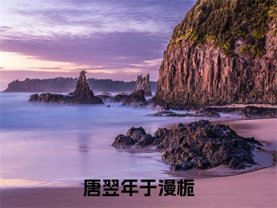于漫栀唐翌年全文免费阅读无弹窗（唐翌年于漫栀）小说-于漫栀唐翌年小说免费阅读