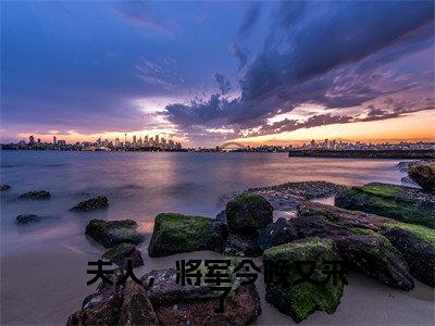夫人，将军今晚又来了小说（李漫芷墨潇宸）全文免费阅读_（李漫芷墨潇宸）夫人，将军今晚又来了最新章节列表笔趣阁