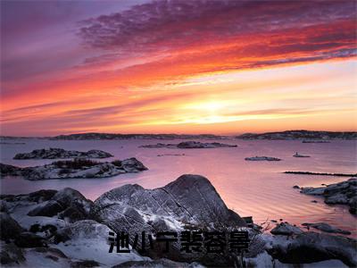 池小宁裴容景正版小说全文阅读池小宁裴容景无删减版